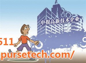 科技中介服務 企業(yè)創(chuàng)新與發(fā)展的智慧橋梁