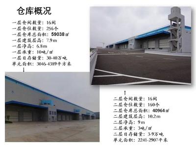 邁科物流 引領(lǐng)海上國際貨物運(yùn)輸代理的專業(yè)力量